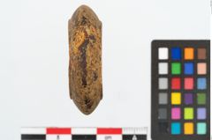 Foto von Bernsteinringperle (NHMW-PRAE-026248)